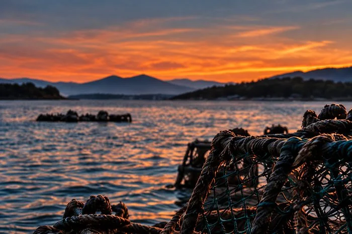 Posta de sol sobre la ria d’Arousa amb nanses en primer pla